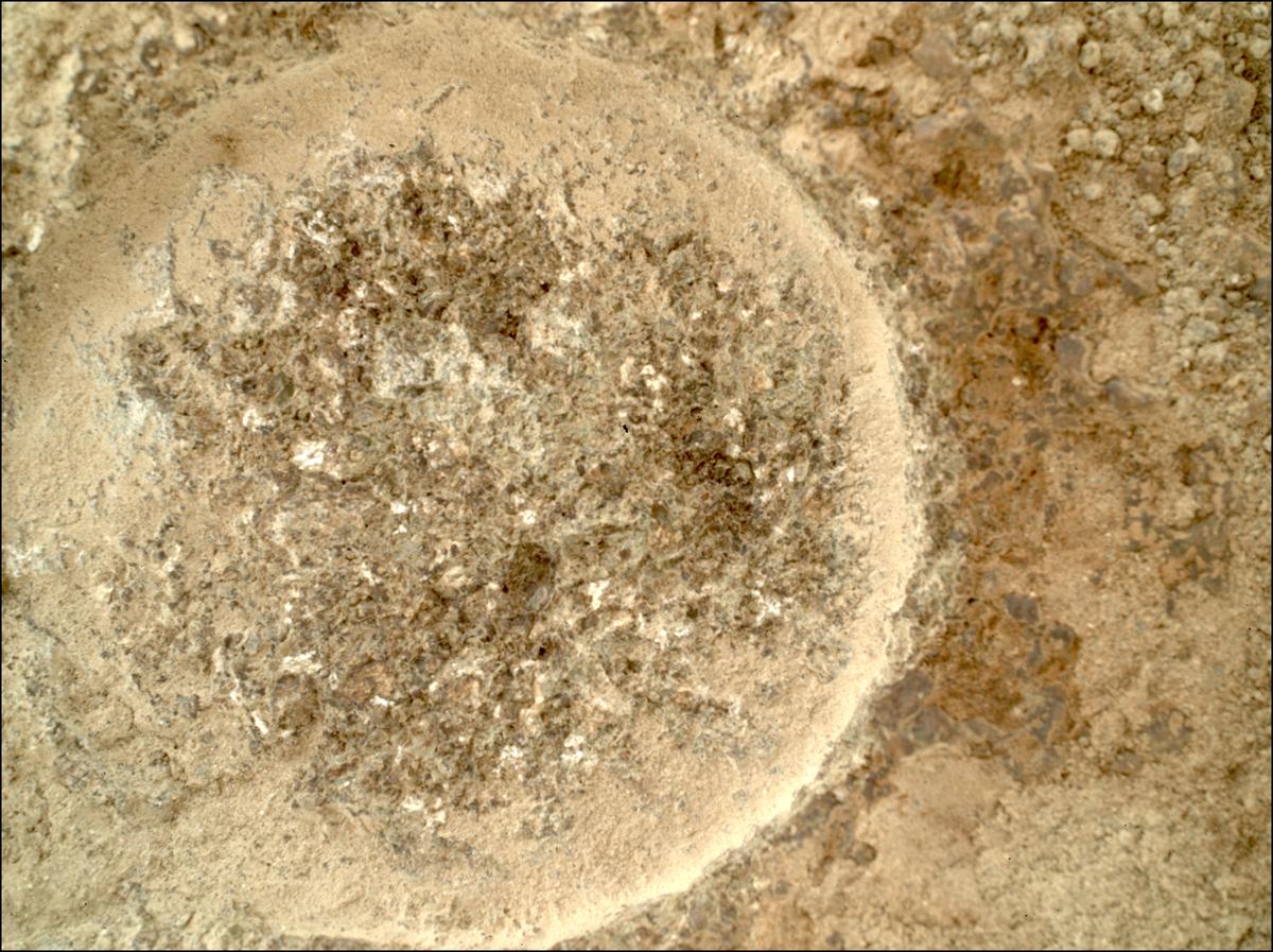 This image was taken by SHERLOC_WATSON onboard NASA's Mars rover Perseverance on Sol 935