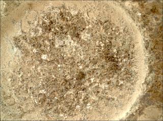 View image taken on Mars, Mars Perseverance Sol 935: WATSON Camera 