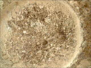 View image taken on Mars, Mars Perseverance Sol 935: WATSON Camera 