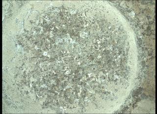 View image taken on Mars, Mars Perseverance Sol 935: WATSON Camera 