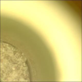 View image taken on Mars, Mars Perseverance Sol 949: Sample Caching System Camera (CacheCam)
