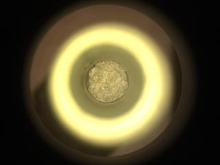 View image taken on Mars, Mars Perseverance Sol 949: Sample Caching System Camera (CacheCam)