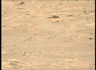 View image taken on Mars, Mars Perseverance Sol 952: Left Mastcam-Z Camera