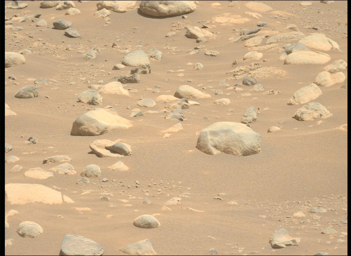 This image was taken by MCZ_LEFT onboard NASA's Mars rover Perseverance on Sol 952