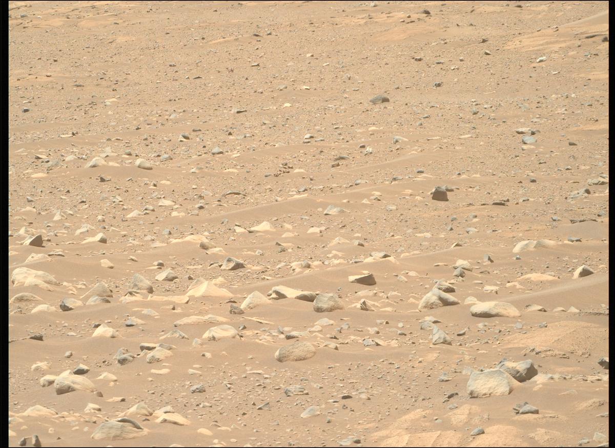 This image was taken by MCZ_RIGHT onboard NASA's Mars rover Perseverance on Sol 952