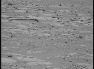 View image taken on Mars, Mars Perseverance Sol 952: Right Mastcam-Z Camera