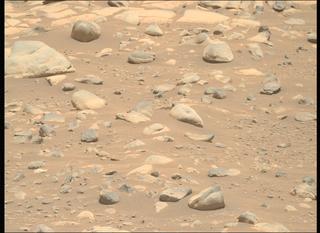 View image taken on Mars, Mars Perseverance Sol 952: Right Mastcam-Z Camera
