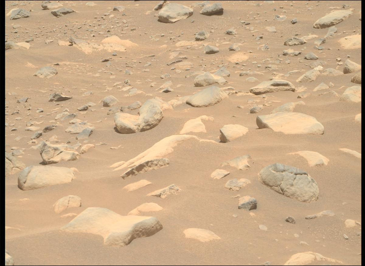 This image was taken by MCZ_RIGHT onboard NASA's Mars rover Perseverance on Sol 952