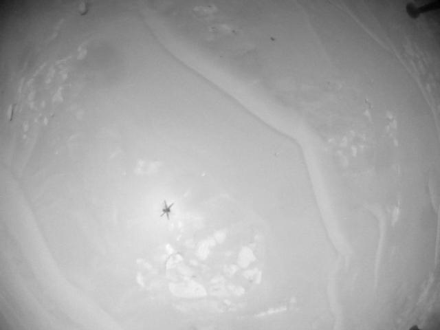 This image was taken by HELI_NAV onboard NASA's Mars rover Perseverance on Sol 955