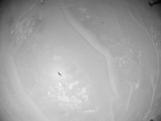 View image taken on Mars, Mars Helicopter Sol 955: Navigation Camera