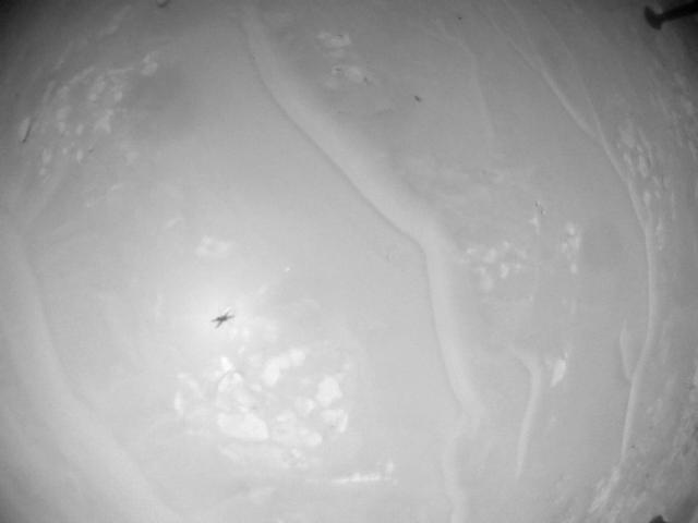 This image was taken by HELI_NAV onboard NASA's Mars rover Perseverance on Sol 955