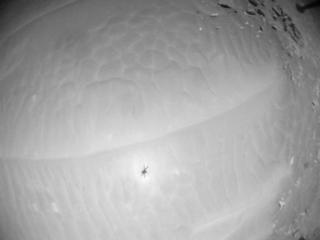 View image taken on Mars, Mars Helicopter Sol 955: Navigation Camera