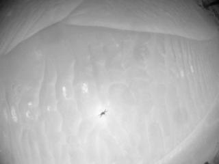 View image taken on Mars, Mars Helicopter Sol 955: Navigation Camera