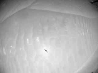 View image taken on Mars, Mars Helicopter Sol 955: Navigation Camera