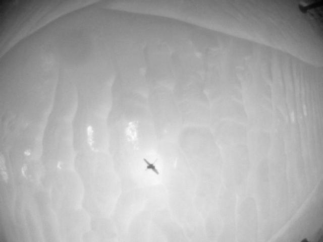 This image was taken by HELI_NAV onboard NASA's Mars rover Perseverance on Sol 955