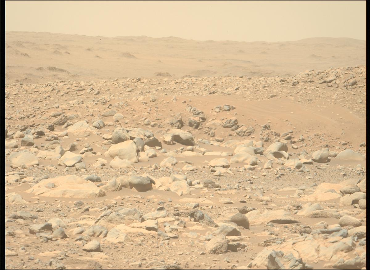 This image was taken by MCZ_LEFT onboard NASA's Mars rover Perseverance on Sol 955
