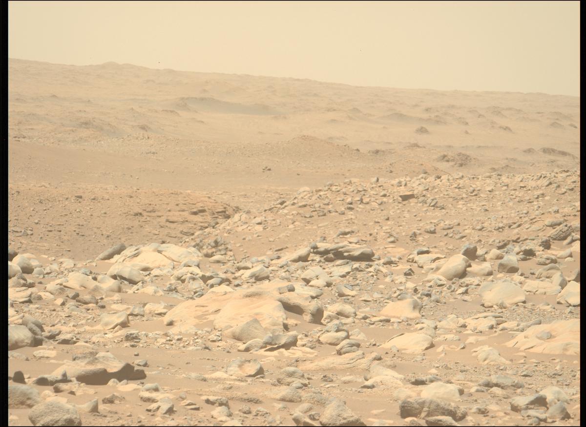This image was taken by MCZ_LEFT onboard NASA's Mars rover Perseverance on Sol 955