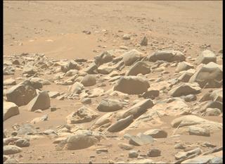 View image taken on Mars, Mars Perseverance Sol 955: Left Mastcam-Z Camera