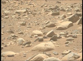 View image taken on Mars, Mars Perseverance Sol 955: Left Mastcam-Z Camera