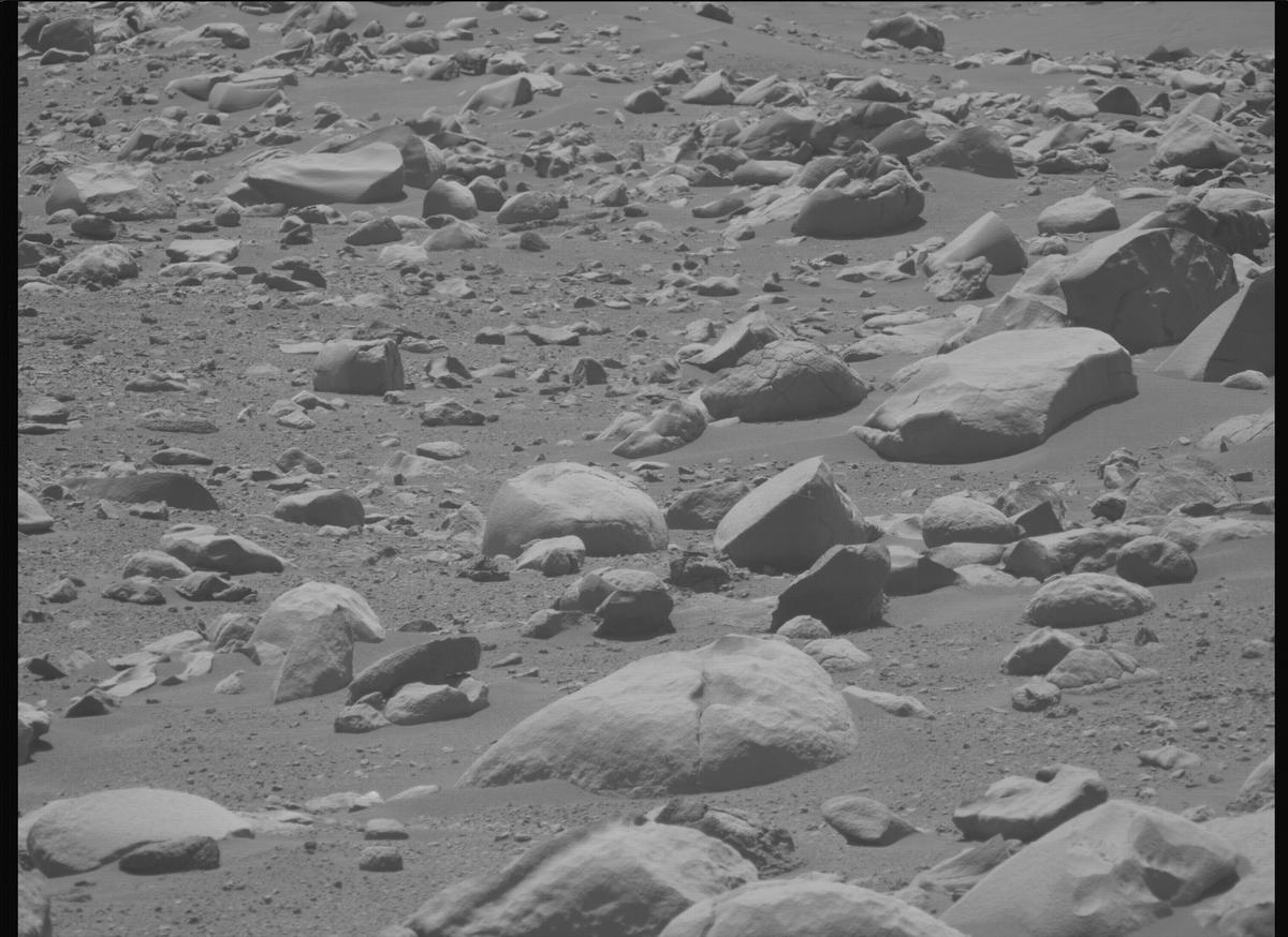This image was taken by MCZ_LEFT onboard NASA's Mars rover Perseverance on Sol 955