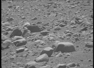 View image taken on Mars, Mars Perseverance Sol 955: Left Mastcam-Z Camera
