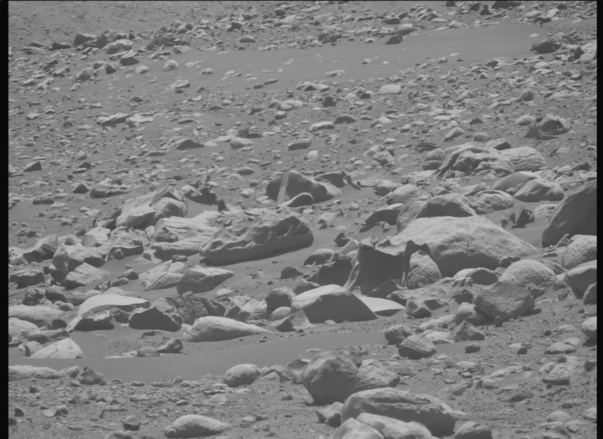 This image was taken by MCZ_LEFT onboard NASA's Mars rover Perseverance on Sol 955