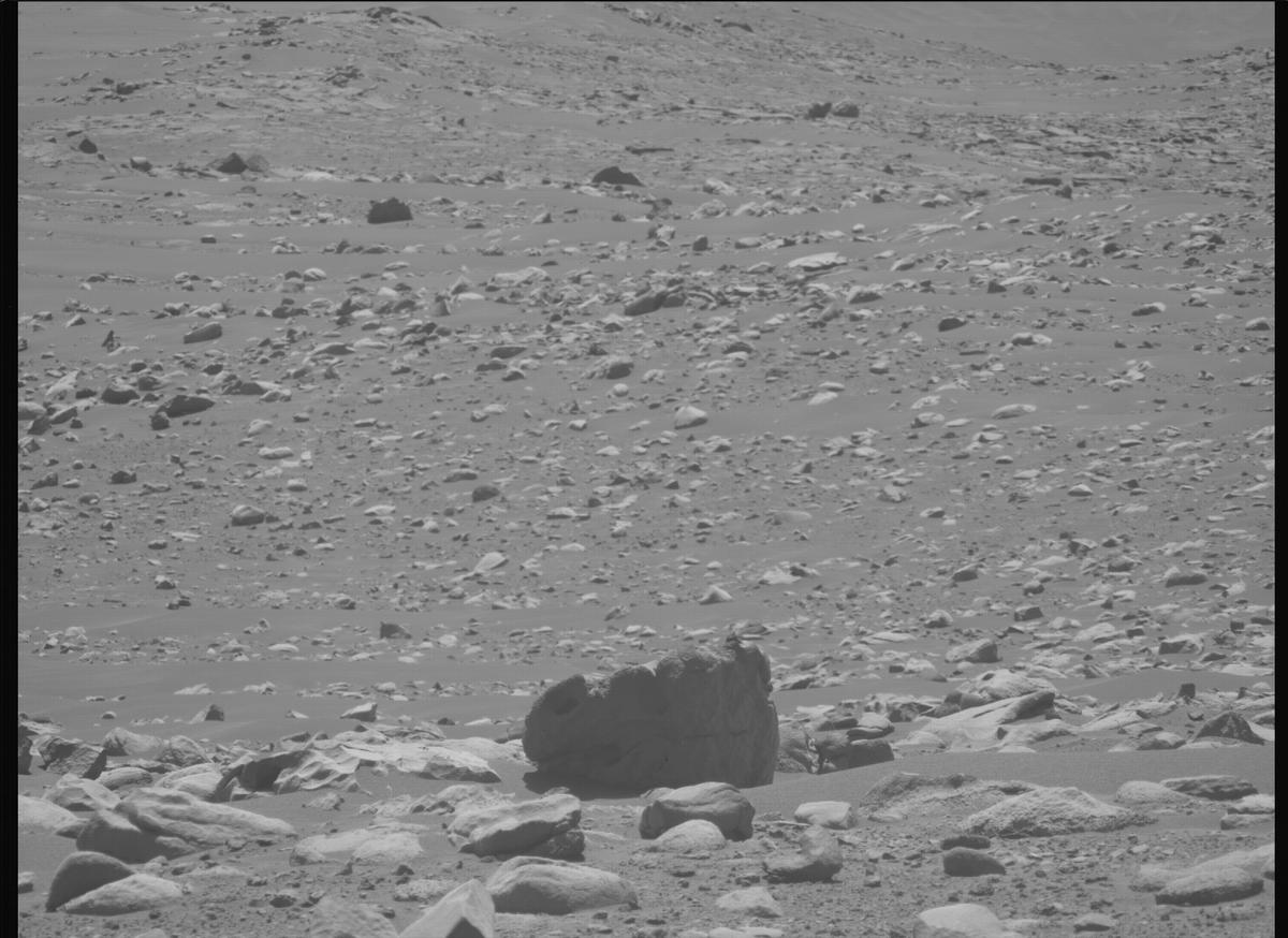 This image was taken by MCZ_LEFT onboard NASA's Mars rover Perseverance on Sol 955