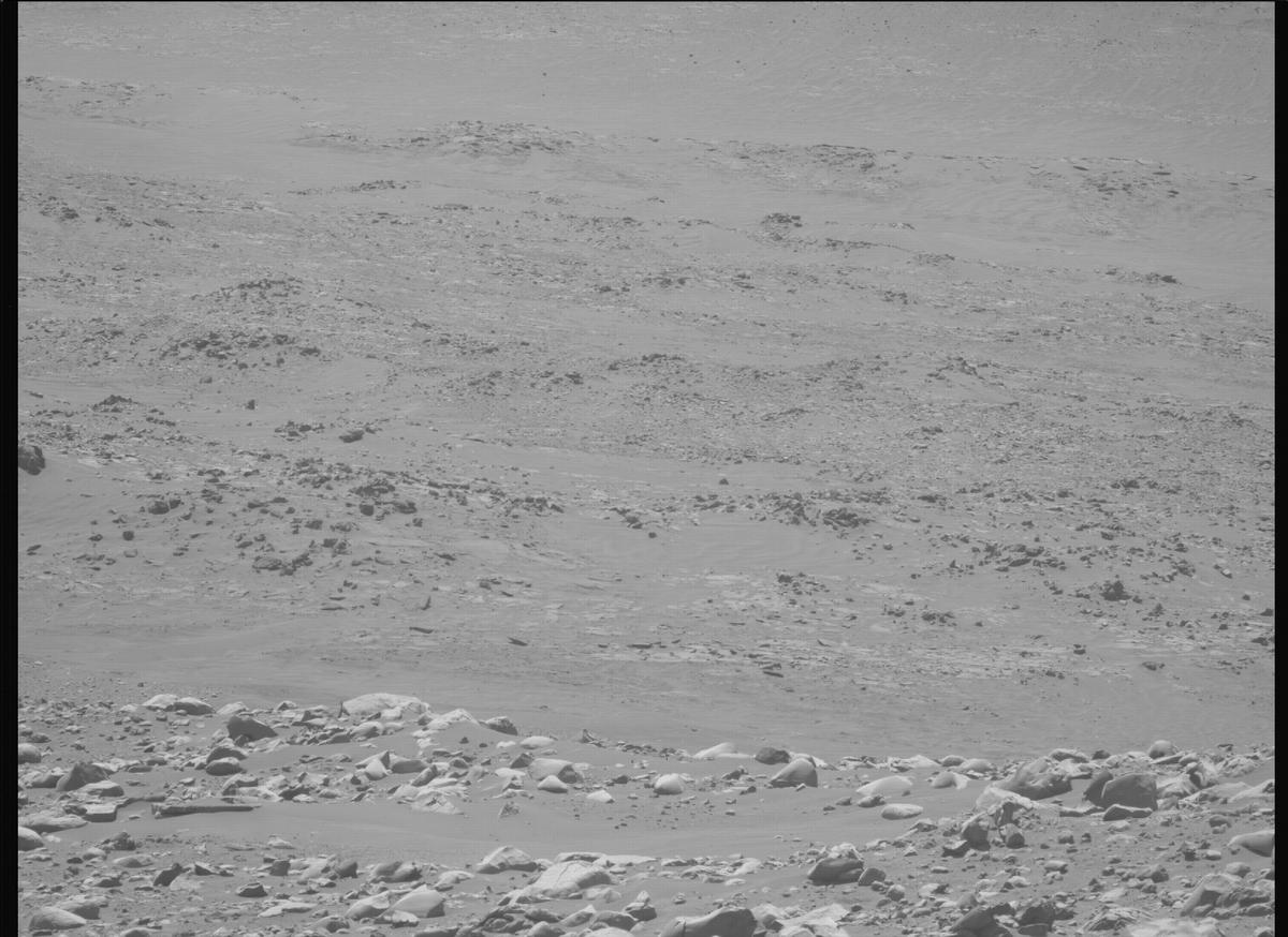 This image was taken by MCZ_LEFT onboard NASA's Mars rover Perseverance on Sol 955