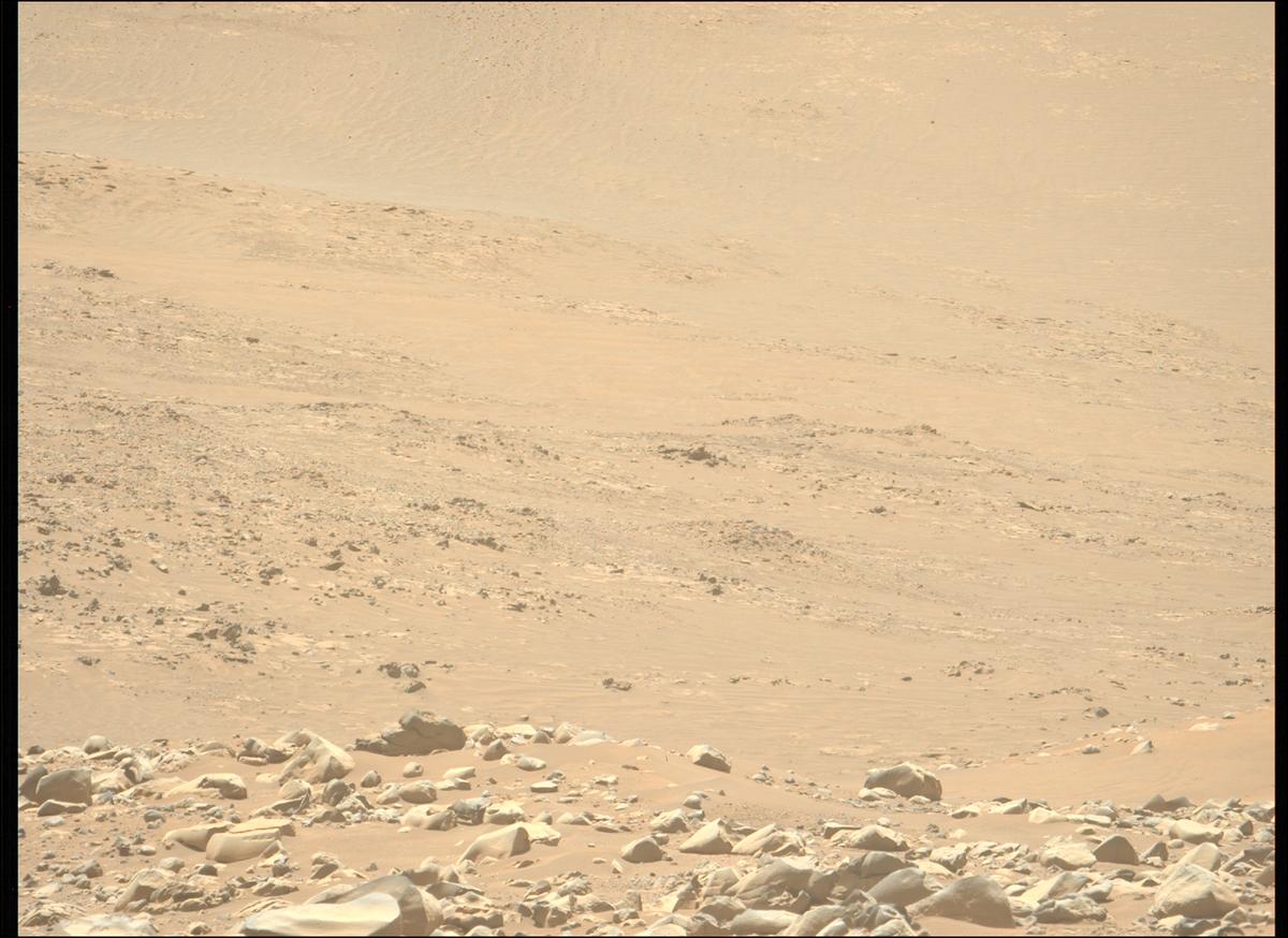 This image was taken by MCZ_LEFT onboard NASA's Mars rover Perseverance on Sol 955