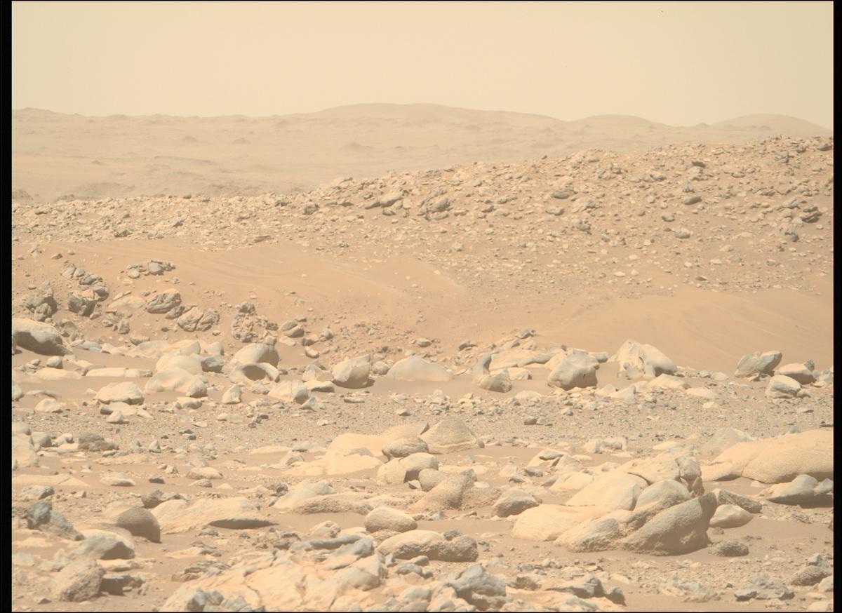 This image was taken by MCZ_RIGHT onboard NASA's Mars rover Perseverance on Sol 955