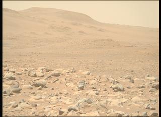 View image taken on Mars, Mars Perseverance Sol 955: Right Mastcam-Z Camera