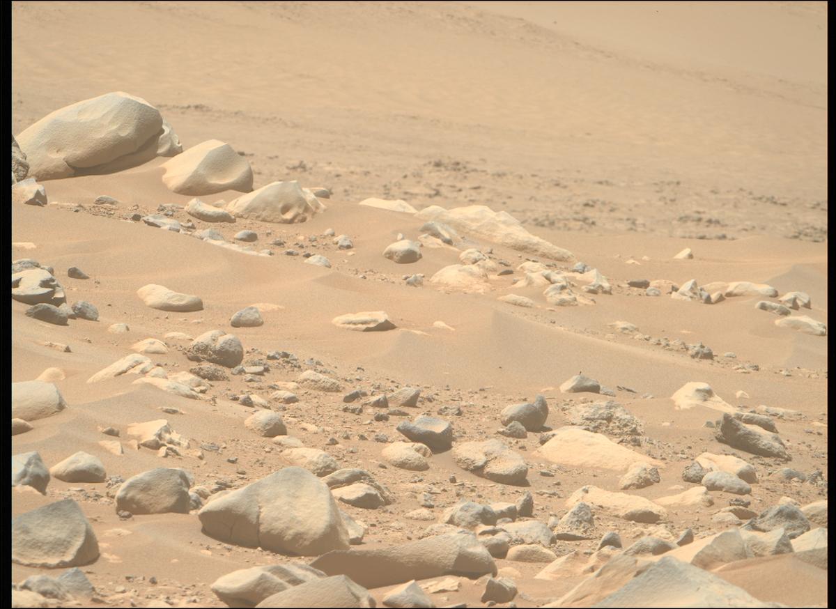 This image was taken by MCZ_RIGHT onboard NASA's Mars rover Perseverance on Sol 955