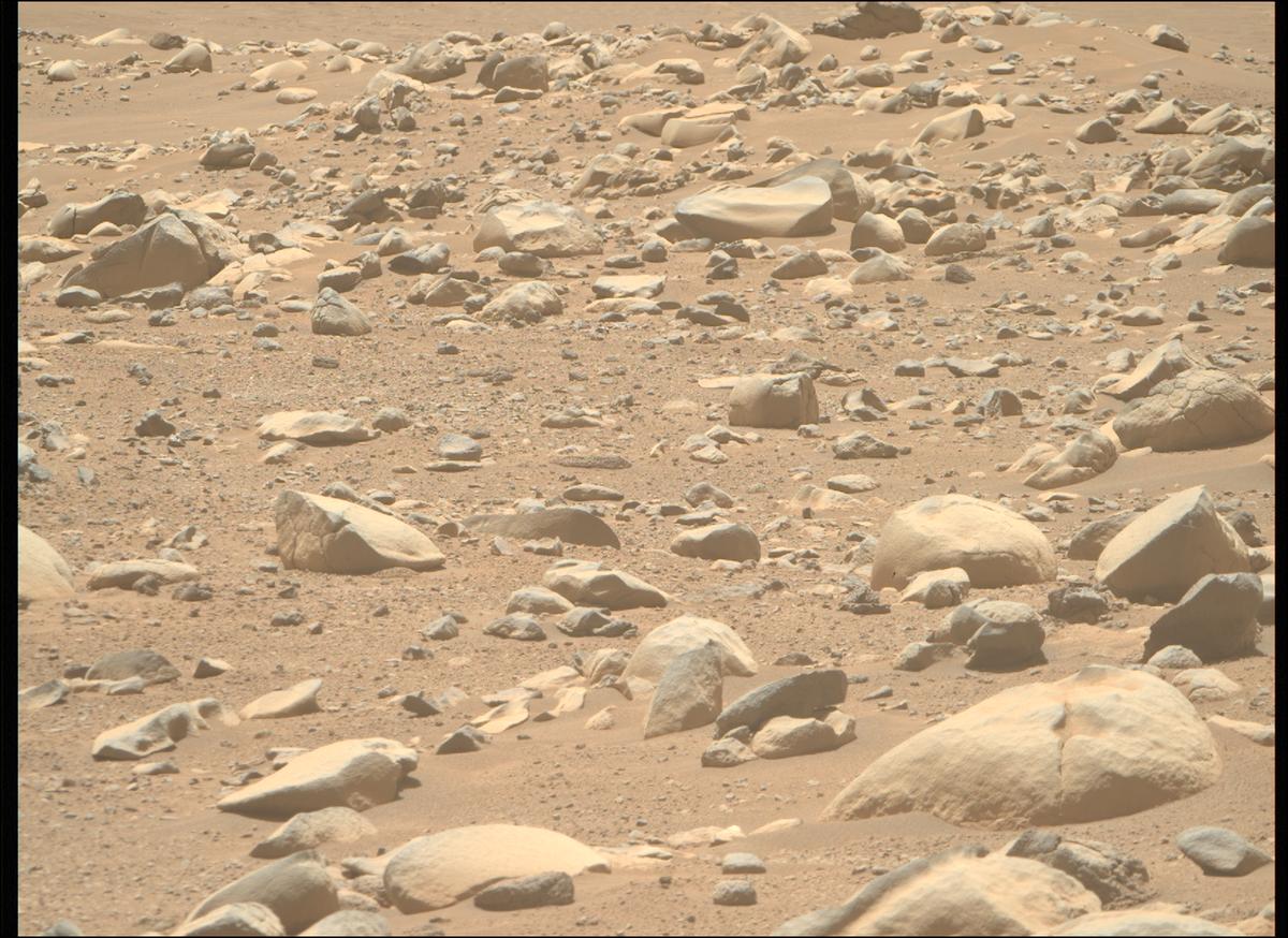 This image was taken by MCZ_RIGHT onboard NASA's Mars rover Perseverance on Sol 955