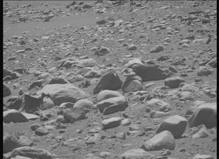 View image taken on Mars, Mars Perseverance Sol 955: Right Mastcam-Z Camera