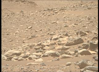 View image taken on Mars, Mars Perseverance Sol 955: Right Mastcam-Z Camera