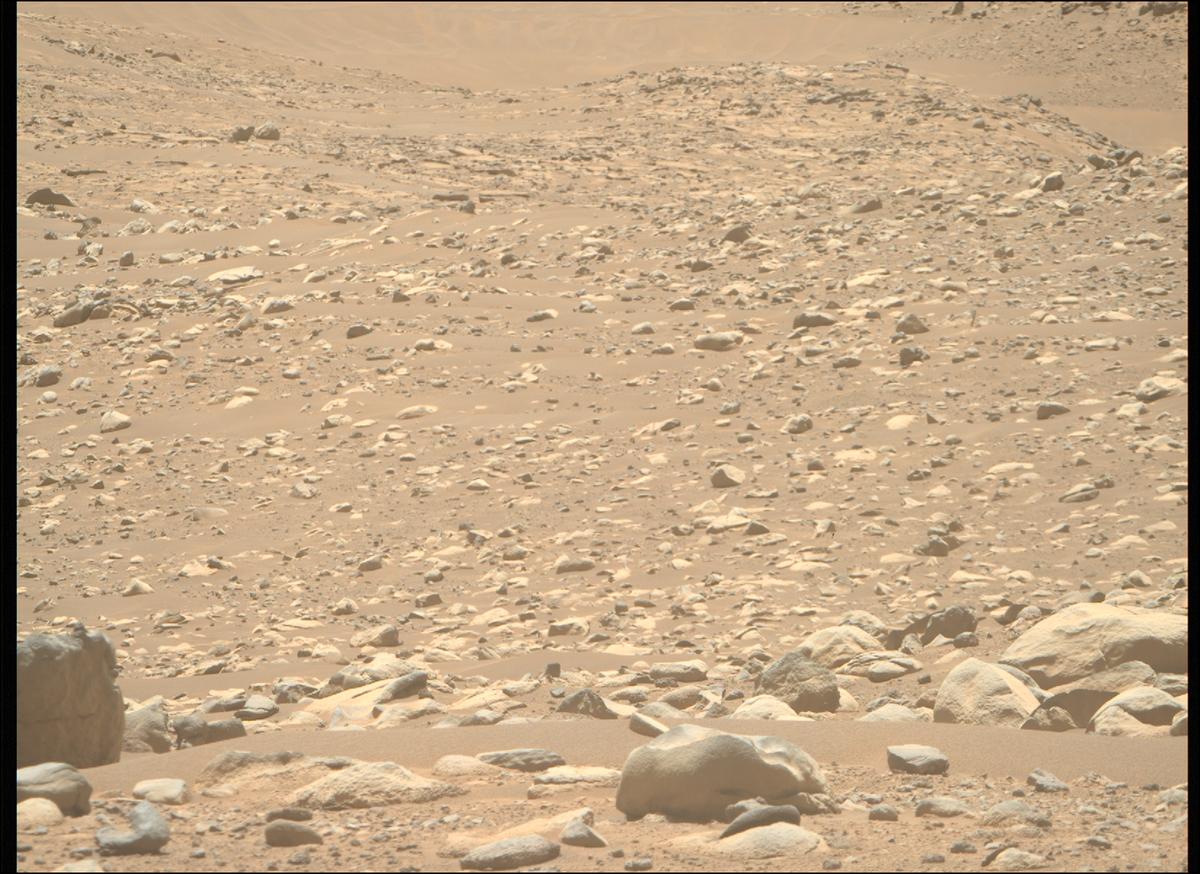 This image was taken by MCZ_RIGHT onboard NASA's Mars rover Perseverance on Sol 955