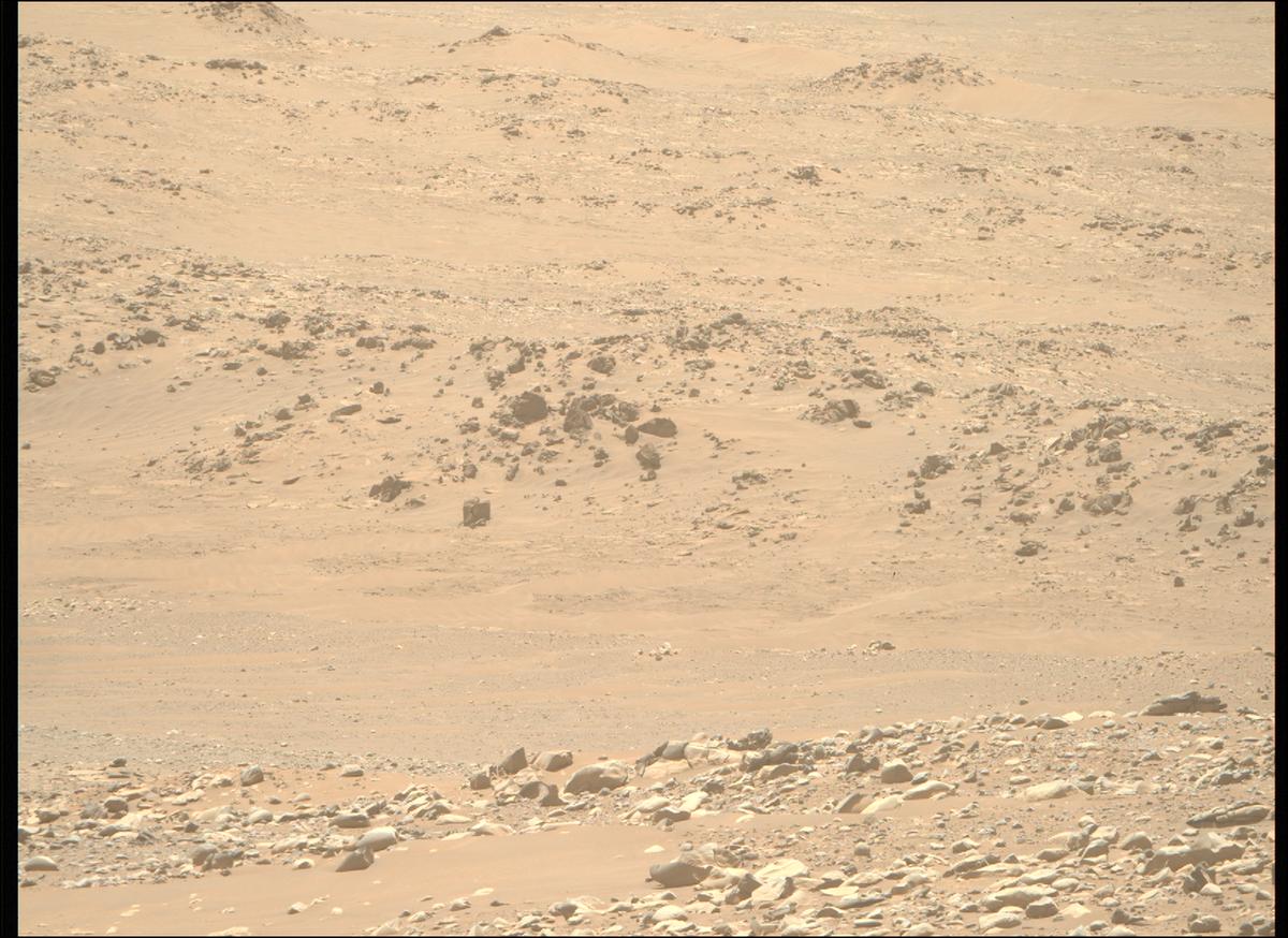 This image was taken by MCZ_RIGHT onboard NASA's Mars rover Perseverance on Sol 955