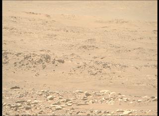 View image taken on Mars, Mars Perseverance Sol 955: Right Mastcam-Z Camera