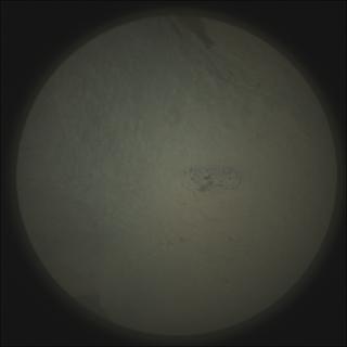 View image taken on Mars, Mars Perseverance Sol 958: SuperCam Camera