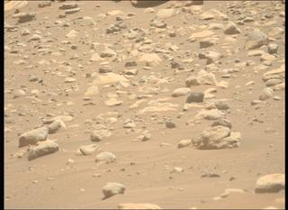 View image taken on Mars, Mars Perseverance Sol 959: Left Mastcam-Z Camera