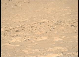 View image taken on Mars, Mars Perseverance Sol 959: Right Mastcam-Z Camera