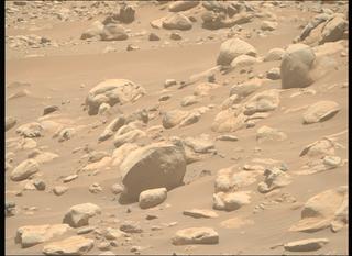 View image taken on Mars, Mars Perseverance Sol 959: Right Mastcam-Z Camera