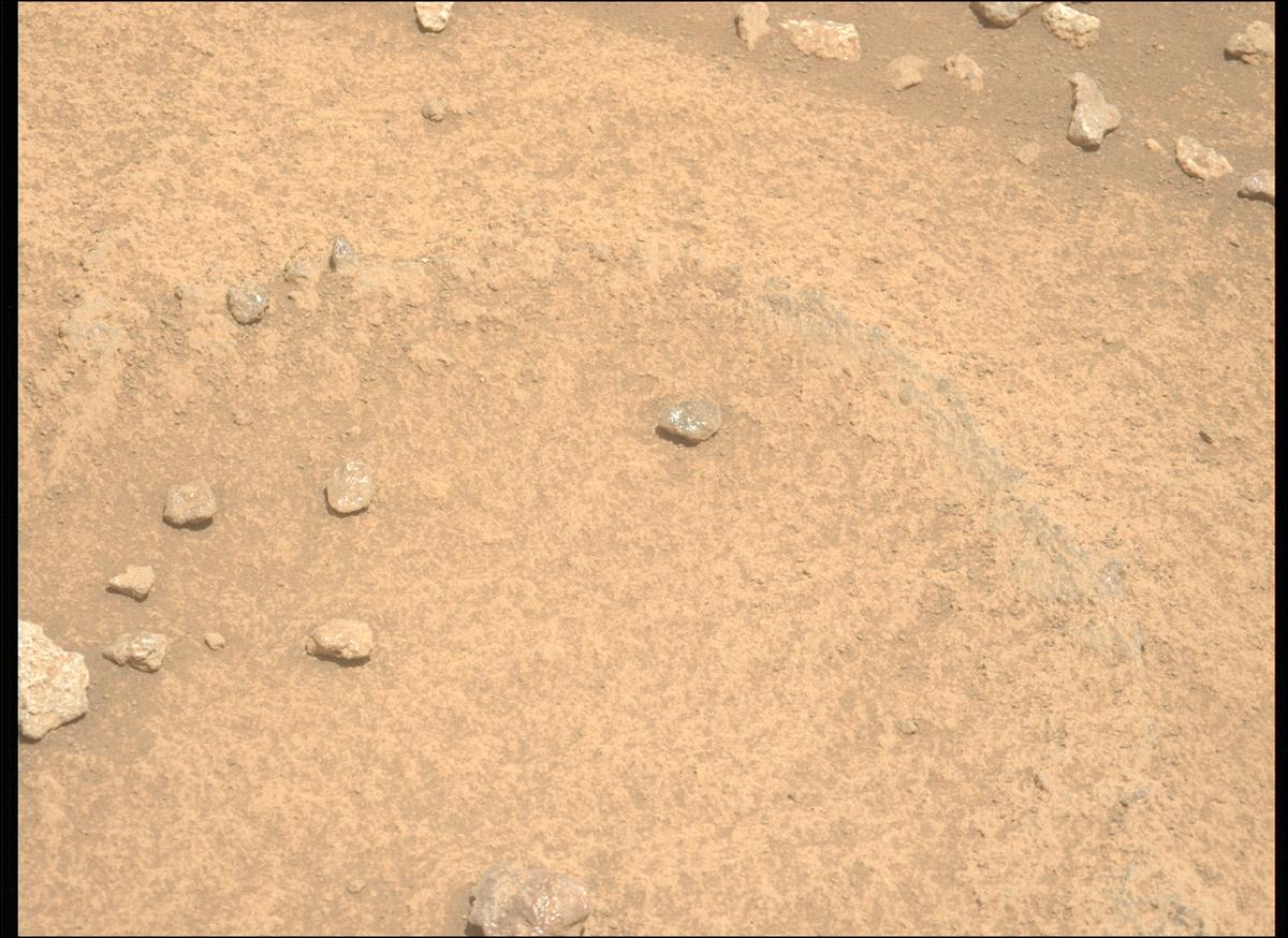 This image was taken by MCZ_LEFT onboard NASA's Mars rover Perseverance on Sol 960