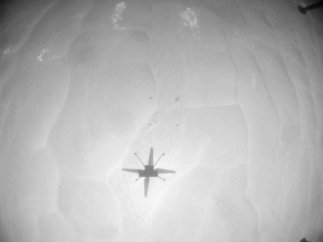 NASA's Ingenuity Mars Helicopter acquired this image using its navigation camera. This camera is mounted in the helicopter's fuselage and pointed directly downward to track the ground during flight.