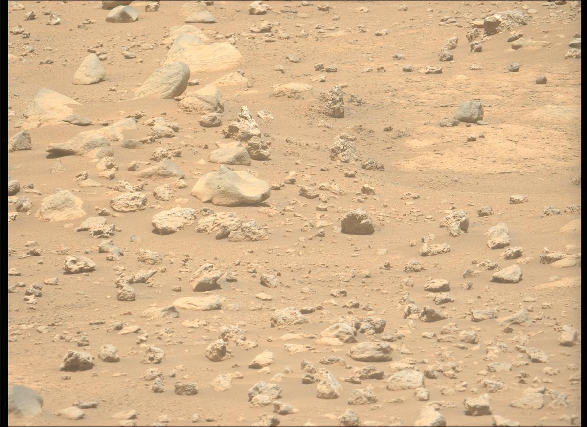 This image was taken by MCZ_LEFT onboard NASA's Mars rover Perseverance on Sol 962