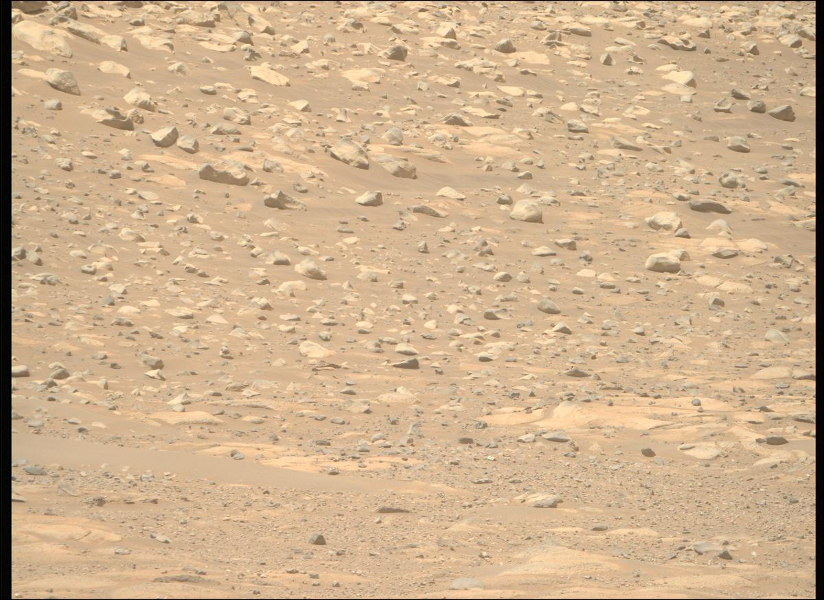 This image was taken by MCZ_RIGHT onboard NASA's Mars rover Perseverance on Sol 962