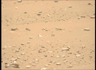 View image taken on Mars, Mars Perseverance Sol 963: Left Mastcam-Z Camera