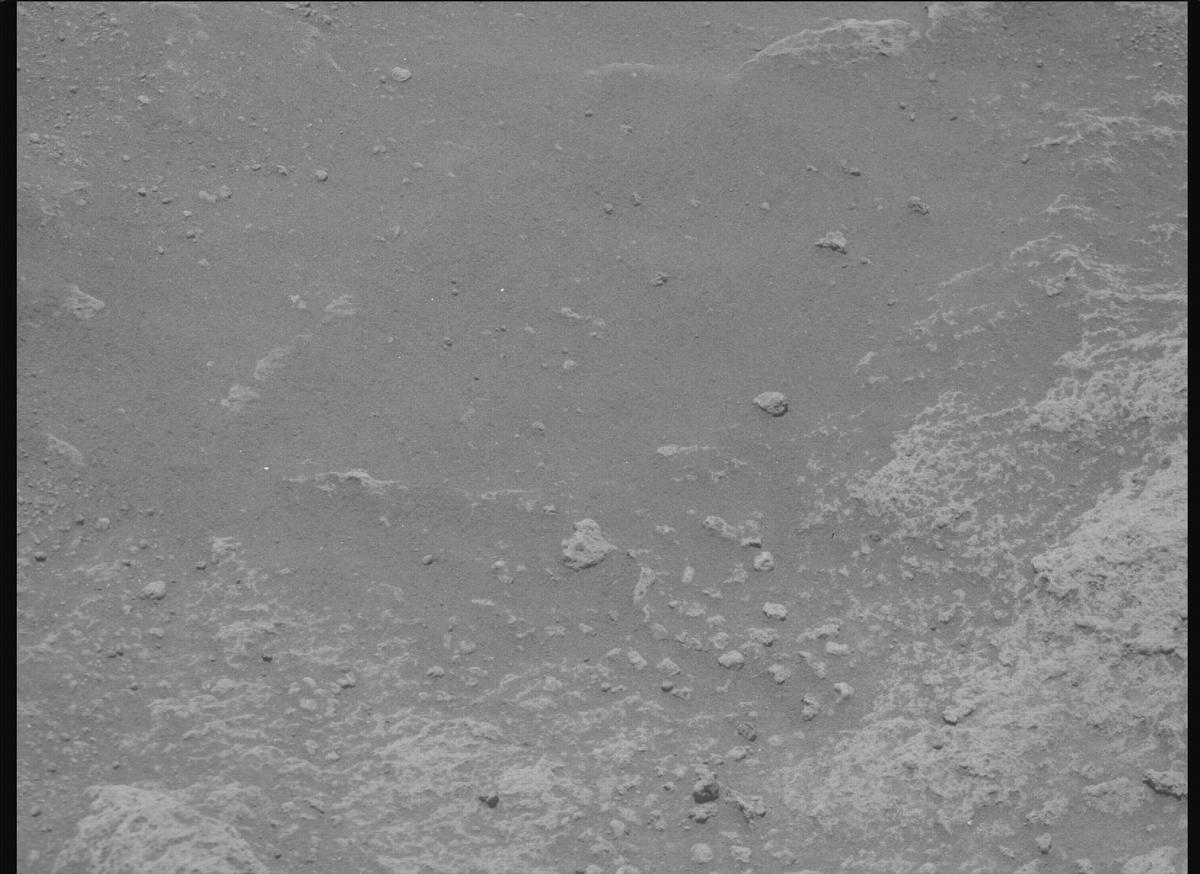This image was taken by MCZ_RIGHT onboard NASA's Mars rover Perseverance on Sol 981