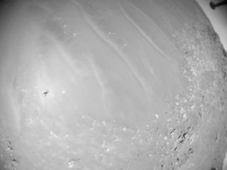 View image taken on Mars, Mars Helicopter Sol 990: Navigation Camera