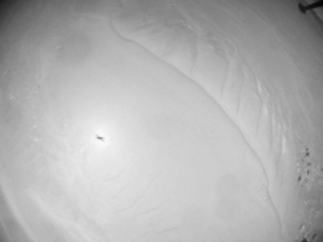 This image was taken by HELI_NAV onboard NASA's Mars rover Perseverance on Sol 990